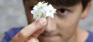 Boy-with-Flower-300x1361.jpg