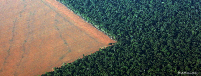 Brazil-EDF.png