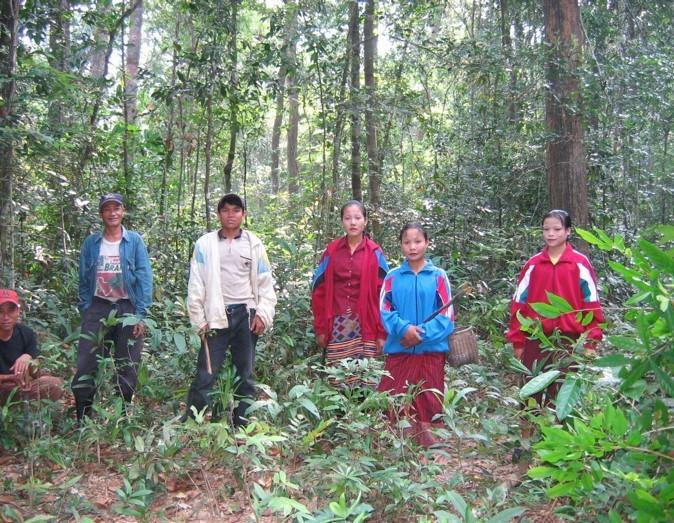 CF-Laos.jpg