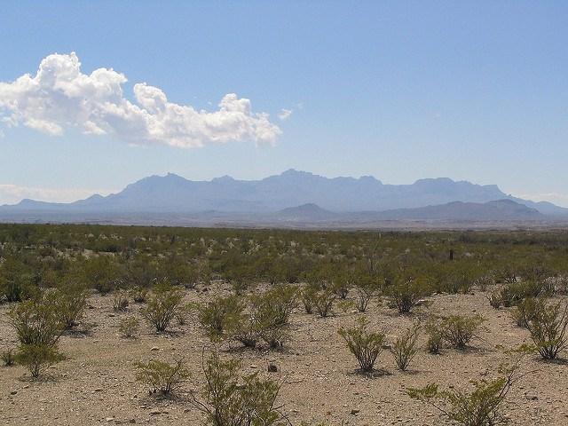 Chihuahuan-desert.jpg