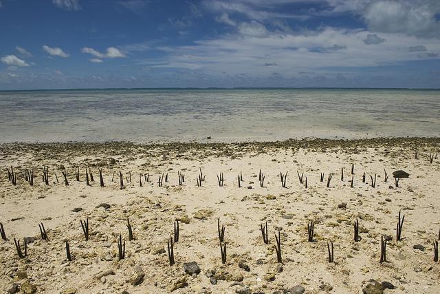 Climate-Change-Effects-in-Island-Nation-of-Kiribati.jpg