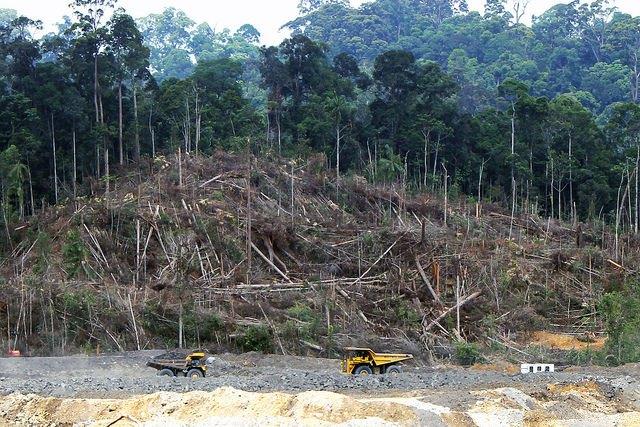 Coal-mining-projects-such-as-this-one-in-central-Borneo-are-devastating-Indonesian-forests.jpg