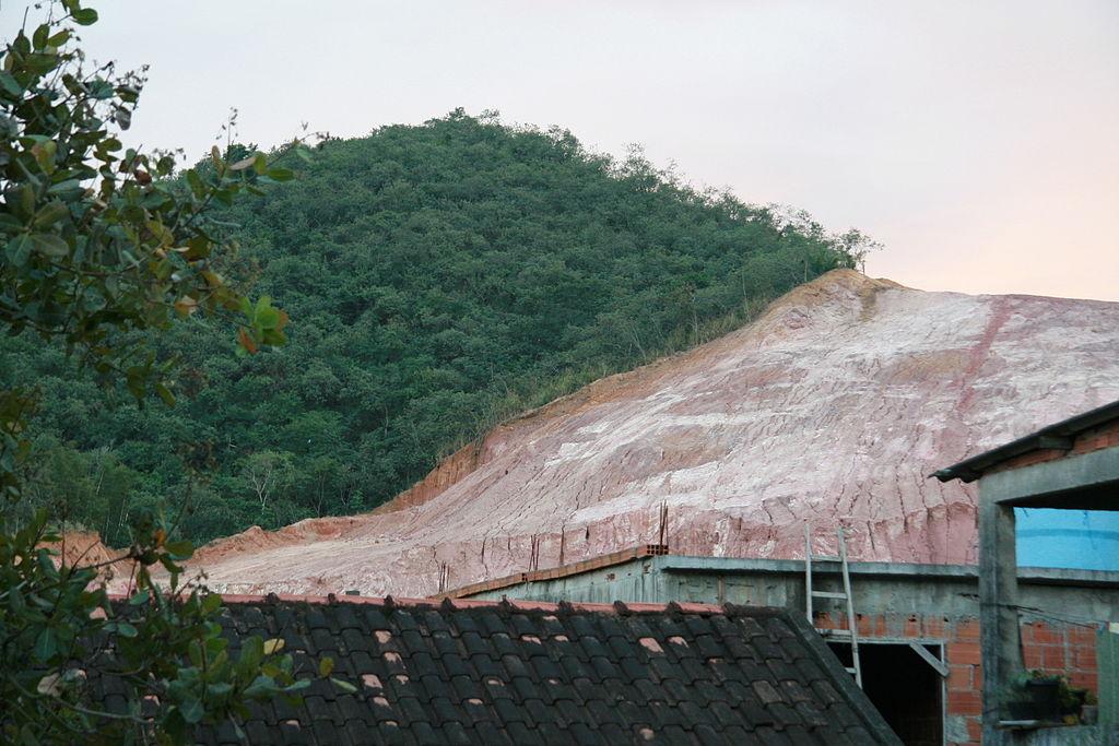 Deforestation-is-a-growing-problem-and-an-NGO-says-companies-and-investors-are-not-doing-enough.jpg