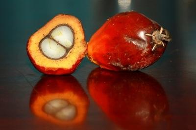 Demand-for-RSPO-certified-palm-oil-now-meets-supply.jpg