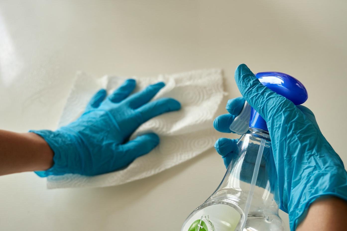 house cleaning domestic workers