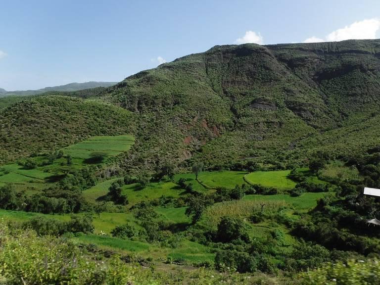 Ethiopia-Farming-3.jpeg
