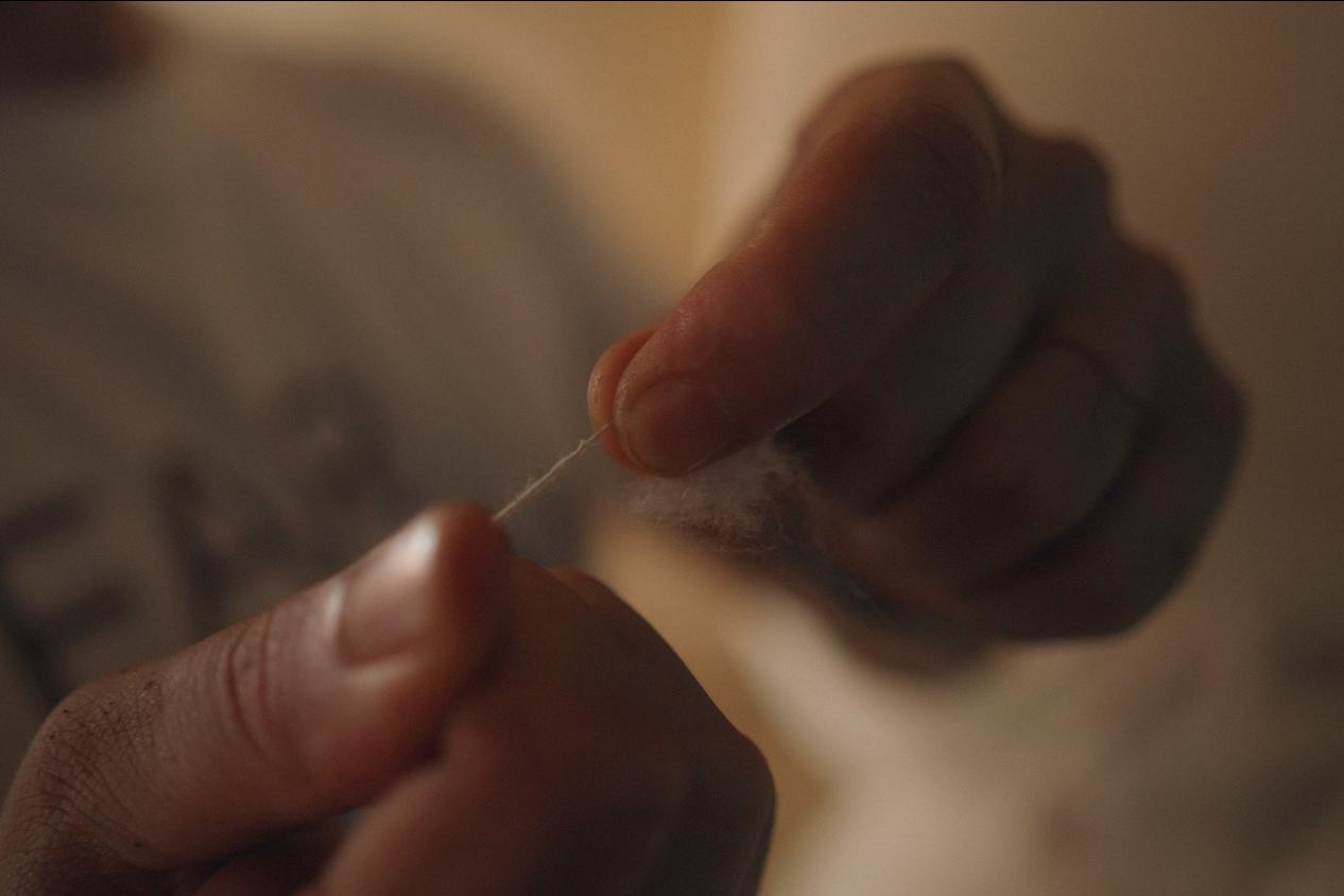 A person holds a string of organic cotton between their fingers — agroforestry