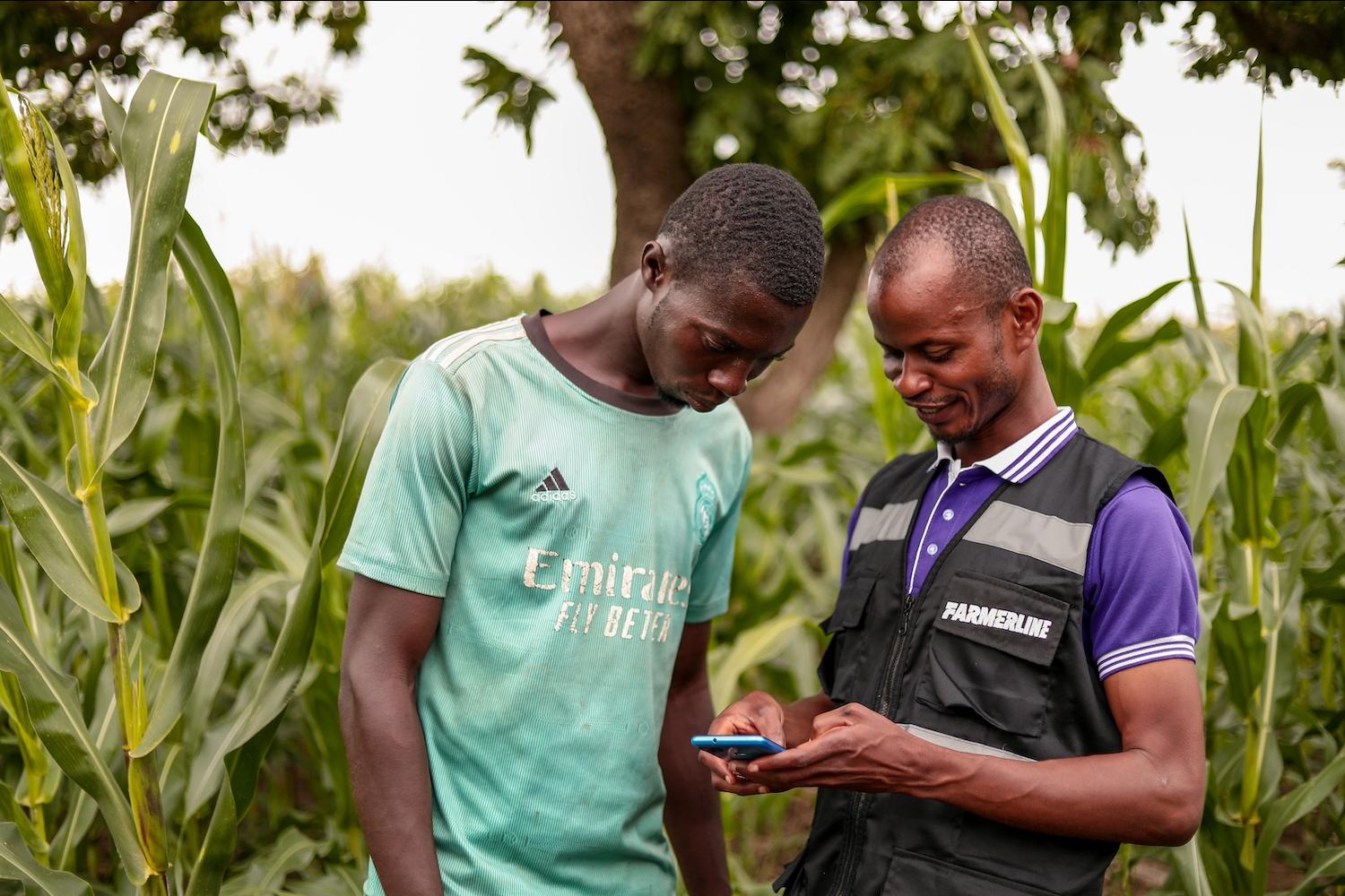 A Farmerline team member and a farmer look down at a smartphone near an agricultural field.