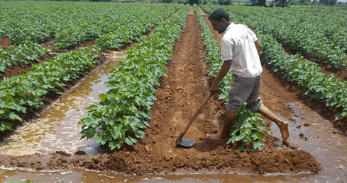 Farmers-are-the-foundation-of-the-sustainable-cotton-movement.png