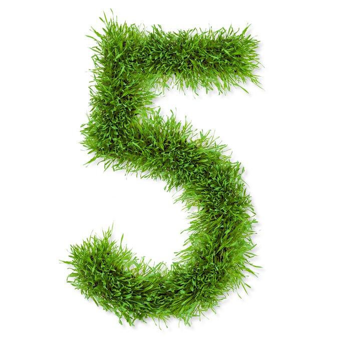 Fotolia_61591531_S.jpg
