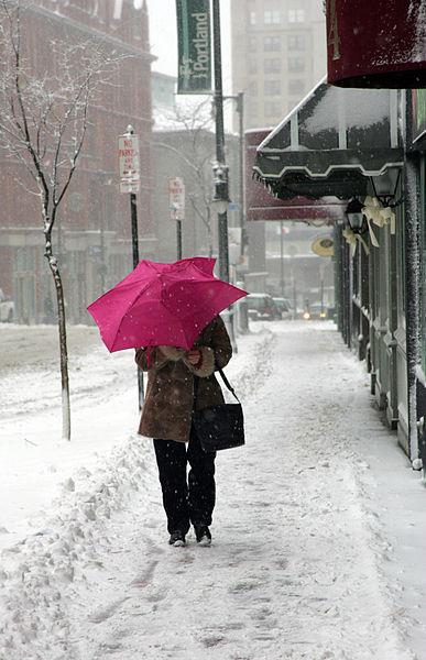 Friends_of_Science_snowstorm_climate_change.jpg