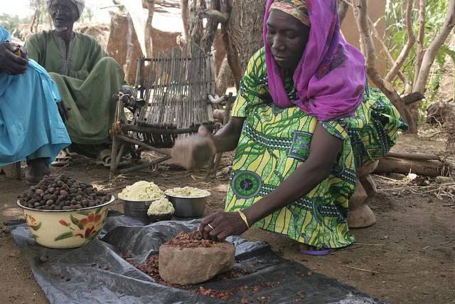 G20_women_entrepreneurs_TREEAID.jpg