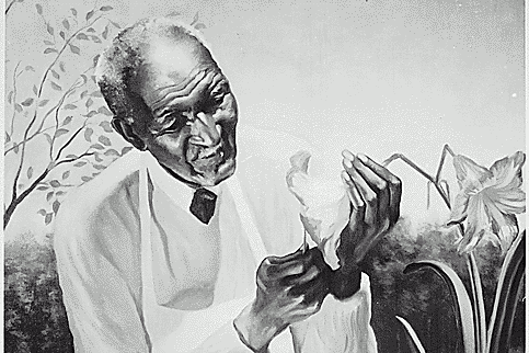 Black Heroes