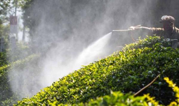 Greenpeace_India_pesticides_GPI.jpg