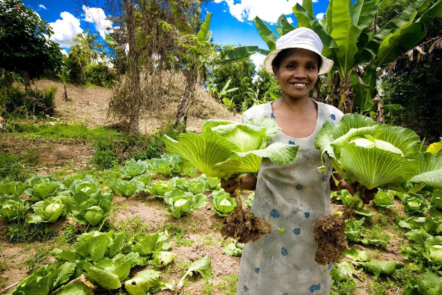 A local farmer in Vavatenina district, Madagascar, smiles at the camera while holding two heads of Chinese cabbage.