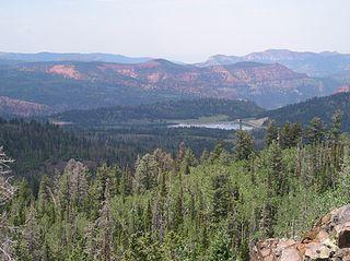 IP_sustainability_2013_USFS.jpg