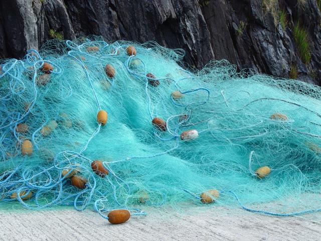 Imagine-if-600000-of-these-can-be-churned-into-new-carpets-and-textiles.jpg