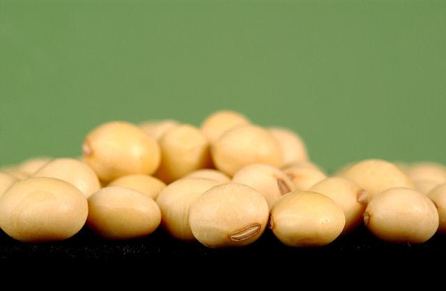 It-may-be-time-to-measure-ones-soy-footprint.jpg