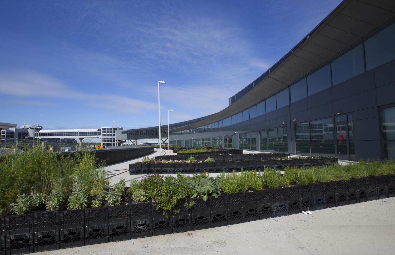 Jet_Blue_JFK_garden2_JB_resize.jpg