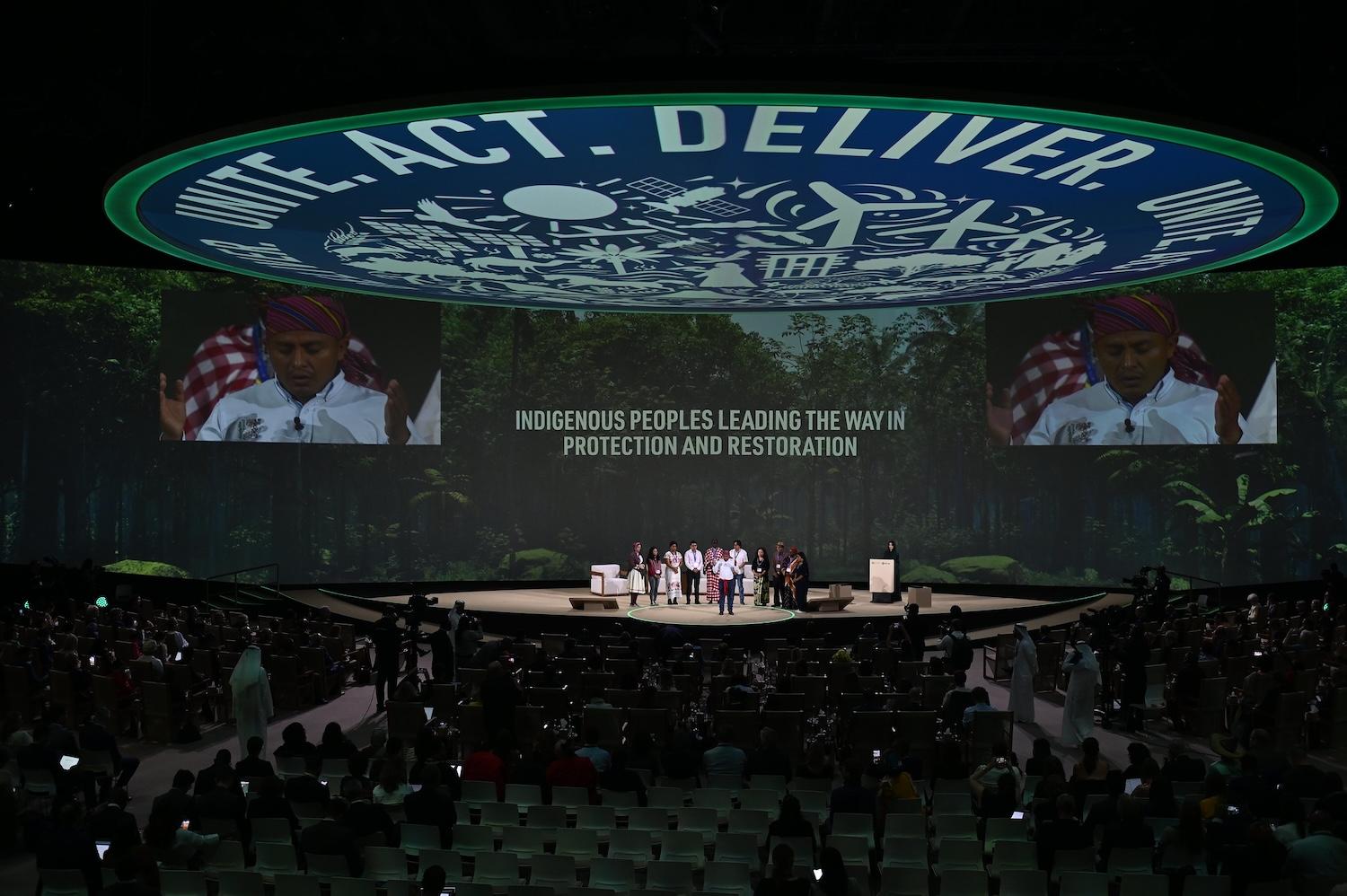 Leaders discuss nature-based solutions at the World Climate Summit at COP28