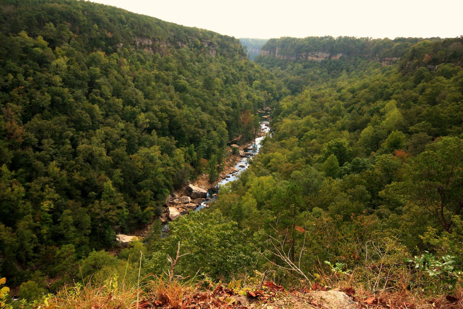 Little River Canyon, Fort Payne, Alabama.