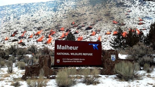Malheur-National-Wildlife-Refuge-burn.jpg