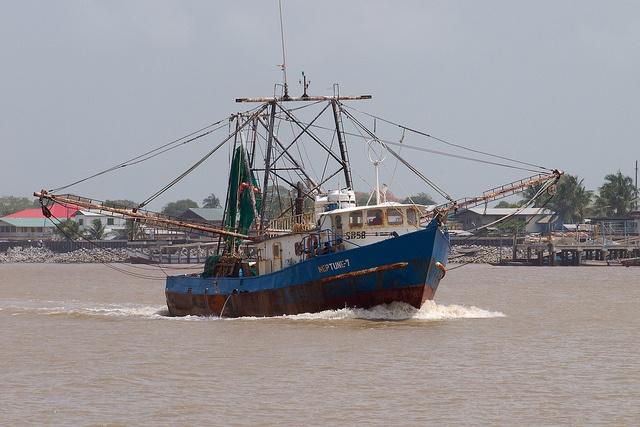 Maritime_Stewardship_Council_Suriname-MSCBenelux4.jpg