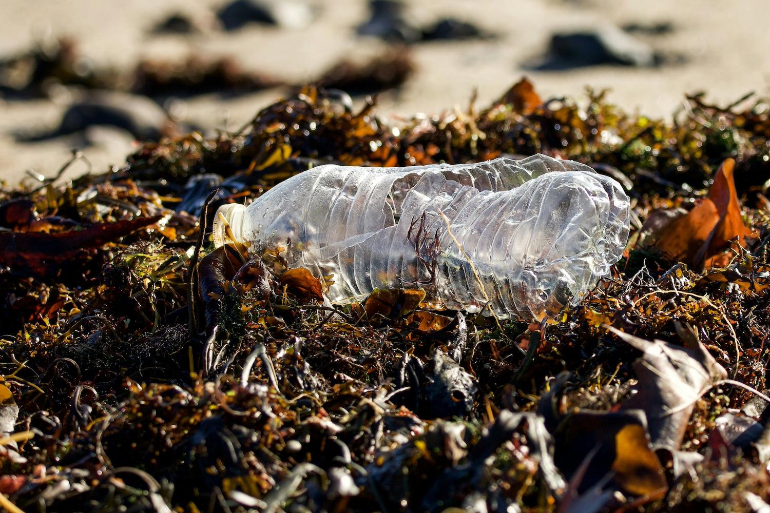 Plastic pollution lying on the beach.