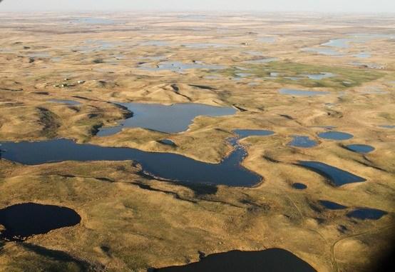 NDPrairiePotholeRegionNRCS.jpg