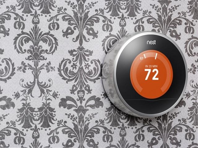 Nest.jpg