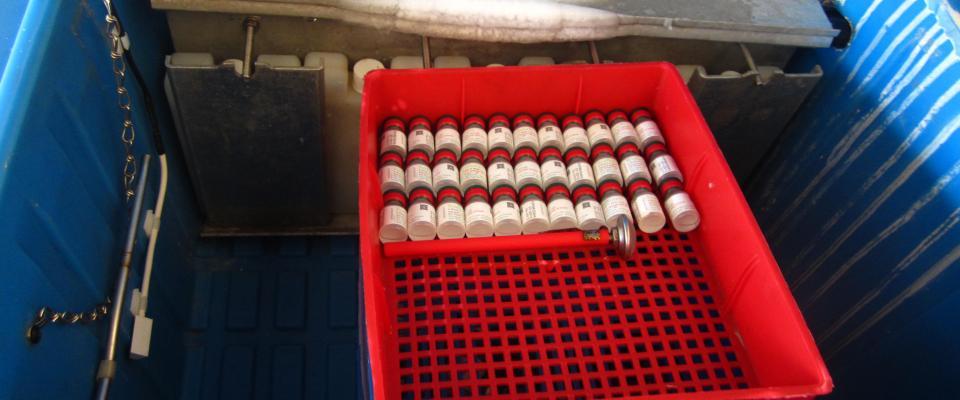 Nexleafs-technology-improves-the-cold-storage-and-delivery-of-vaccines.jpg
