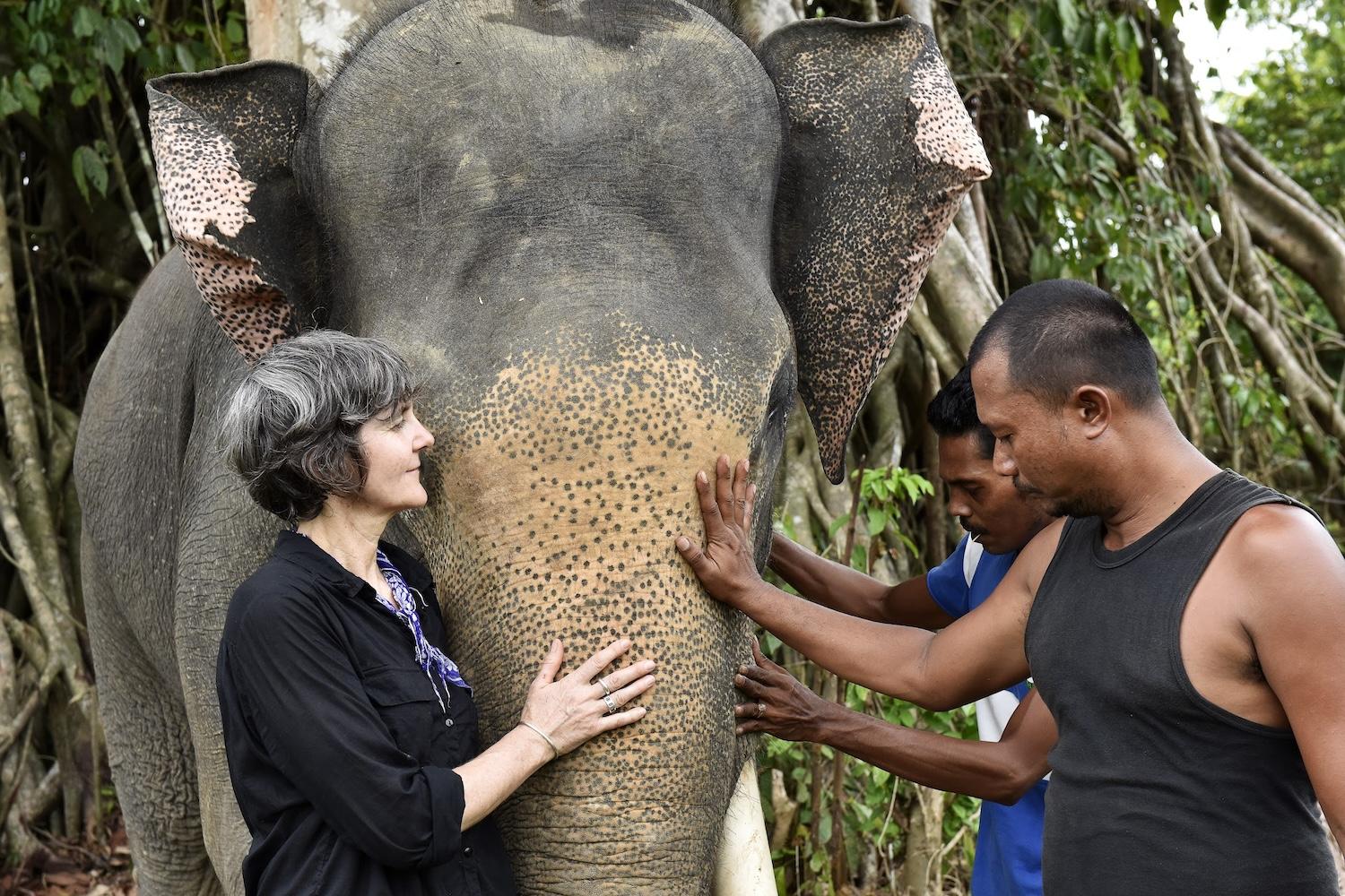 Nicole Rycroft canopy with elephant