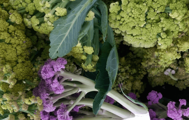 Nope-your-farmers-market-veggies-are-not-subsidized.png