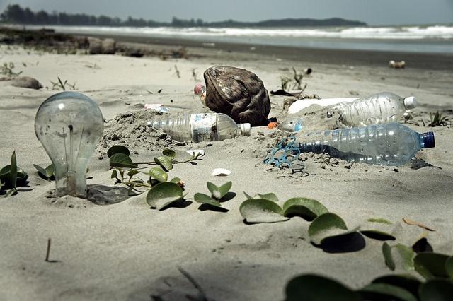 Ocean-conservancy.jpg