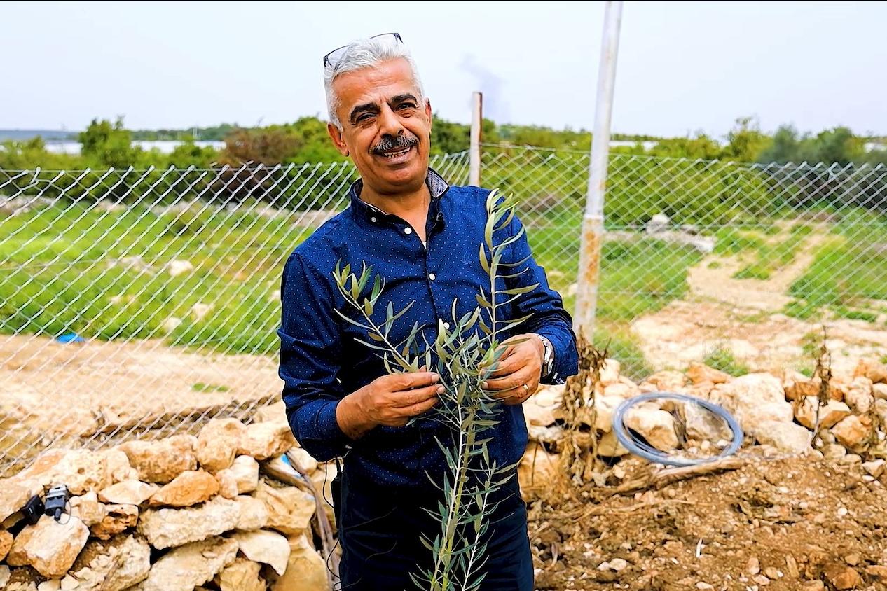 Abbas Milhem, executive director of the Palestinian Farmers’ Union, with an olive tree sapling.