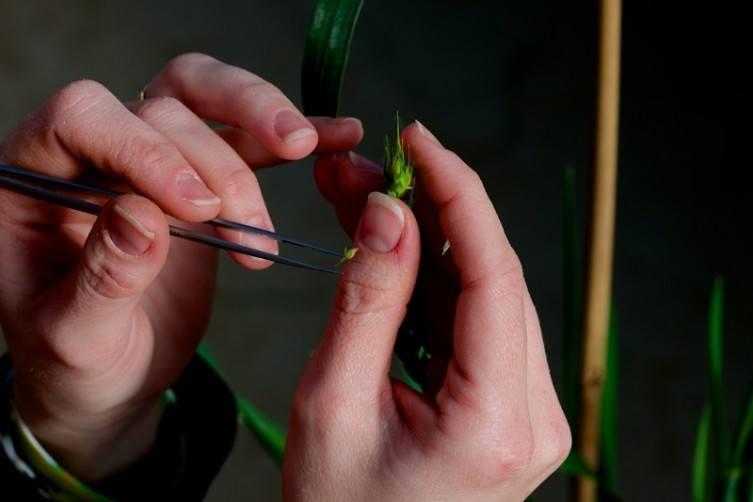 Plant-tech.jpg
