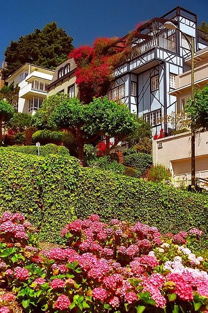 San_Francisco_residence_Airbnb_DOhmer.jpg