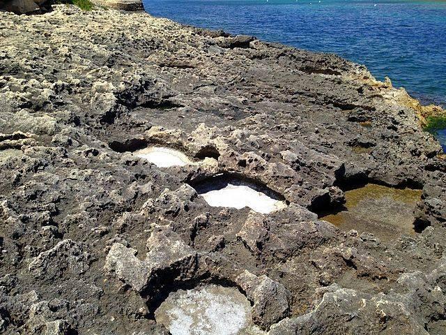 Sea-salt-deposits-in-Malta.jpg