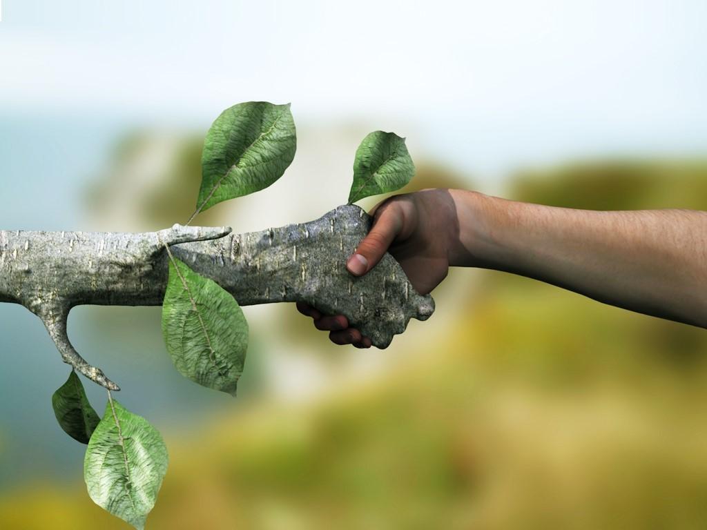 Sustainability.jpg