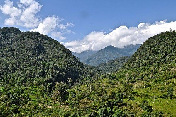 The-Alto-Mayo-region-of-Peru-offers-stunning-views-and-coffee.jpg