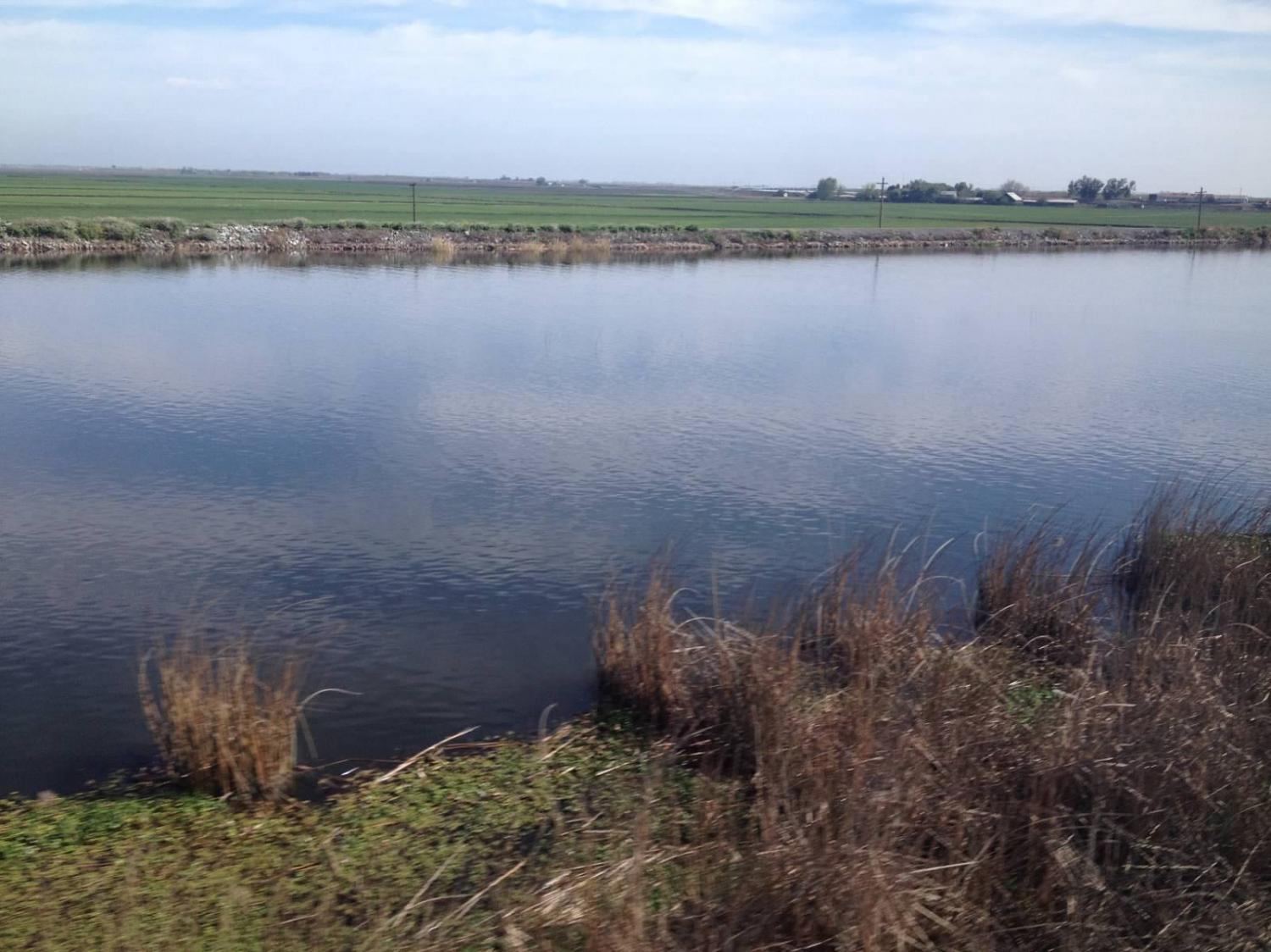 The-Sacramento-River-Delta-which-some-see-as-key-to-Californias-long-term-water-security.jpg