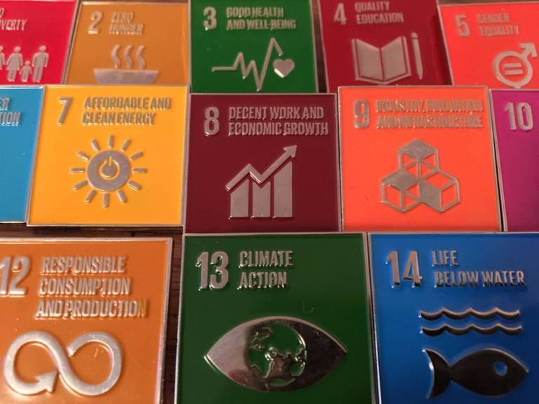 The-UN-Sustainable-Development-Goals.jpg