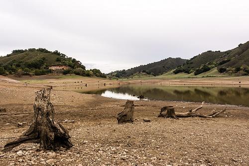 UvasDrought.jpg