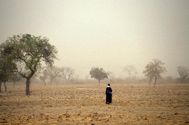 With-climate-change-a-huge-threat-to-developing-nations-the-World-Bank-believes-carbon-credits-can-address-this-problem.jpg