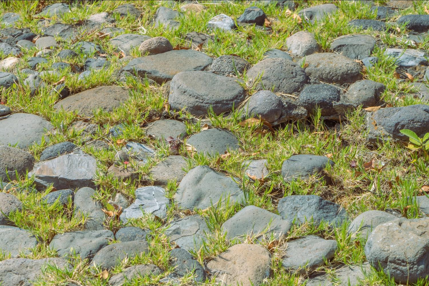 Stepping stones