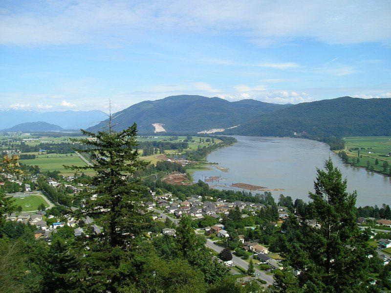 avian_flu_Fraser_Valley_river.jpg