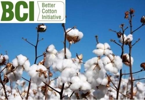 better-cotton-initiative2.jpg