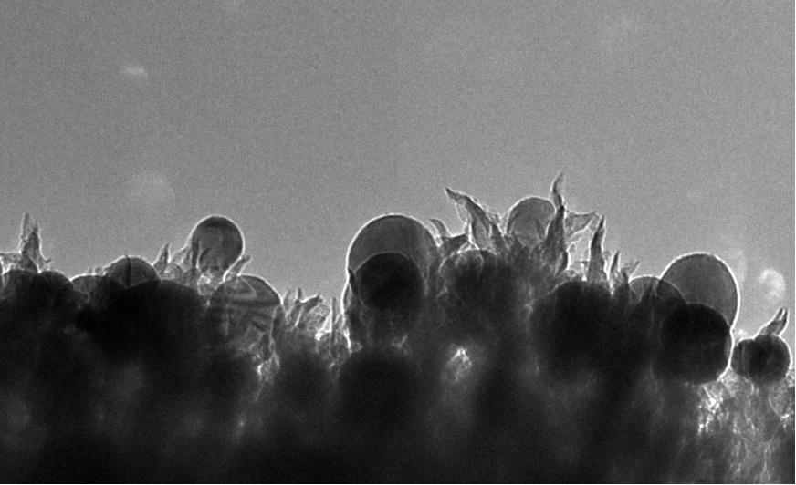 carbon_nanospikes.jpg