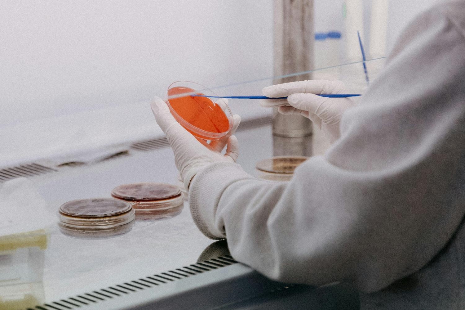 A scientist swabs a Petri dish — citizen scientists