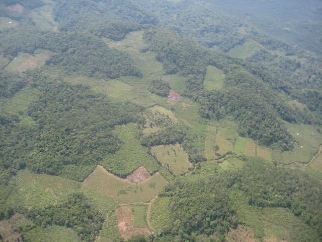 climate_Mexico_deforestation_SDerle.jpg